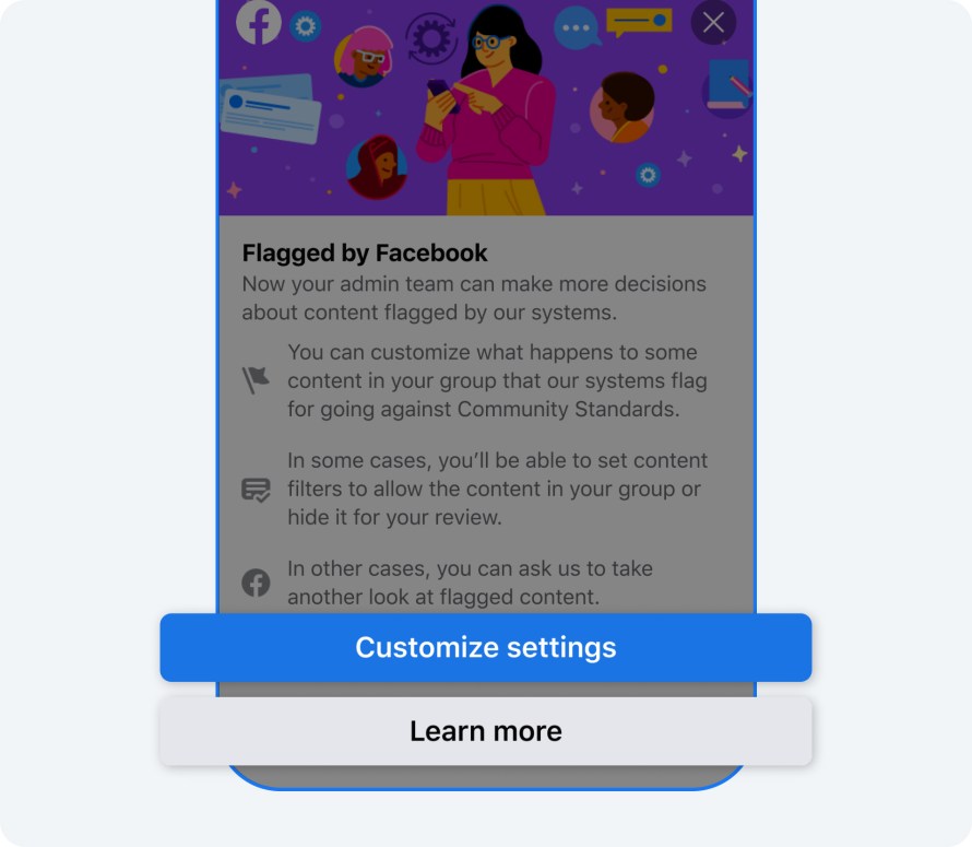 The user interface of Flagged By Facebook.